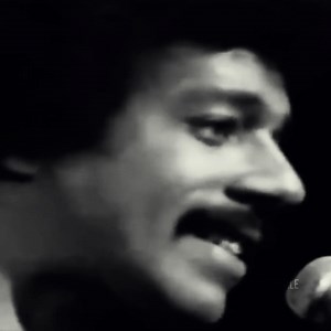 Wildflower - 1972🥀 | R E T R O F I L E