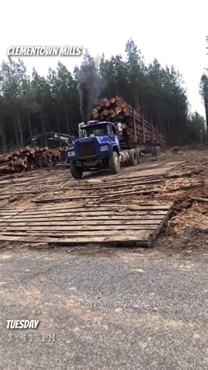 Old mack dog is tough and you can’t change my mind #macktrucks #logger #300#rollcoal#bulldog @theoriginalpulpwoodpimp #fyp