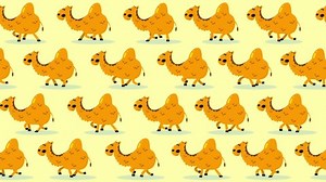 5 Kids Camel Patterns Stock Video Footage - 4K and HD Video Clips | Shutterstock