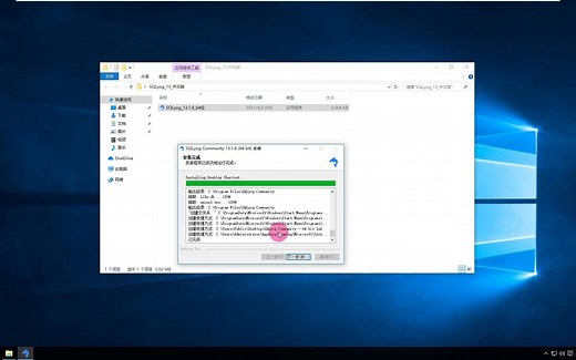 SQLyog_13_中文版_安装教程详细