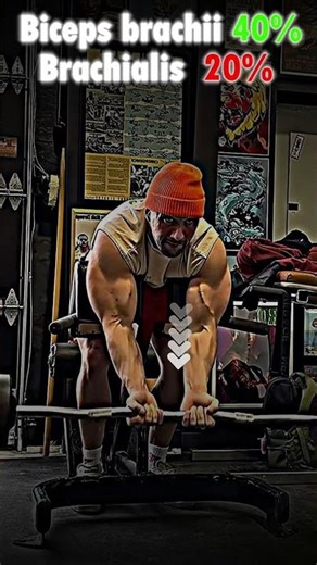 Prone Incline Barbell Curl Peak Your Biceps #shorts #fitness #bicepsworkout