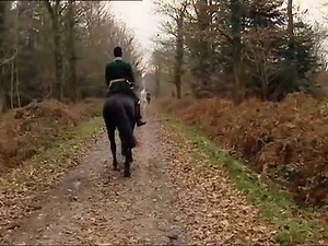 Introduction à la chasse à courre