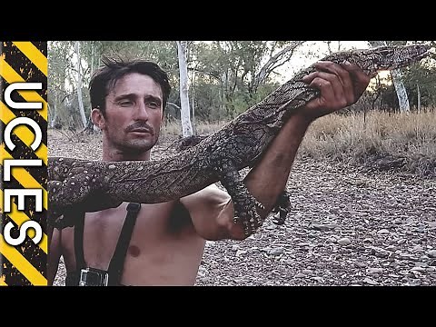 Catching Australia's Largest Lizard (PERENTIE)