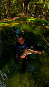 119K views · 4.3K reactions | Big Mac and Bella! Crazy how calm they...