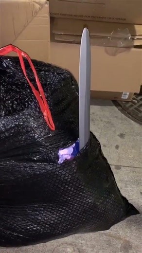 8 bags of stuff from #partycitys #trash. #Shorts #thetrashwalker