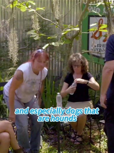 Pit Bulls and Parolees: Inside a Life-Changing Dog Rescue