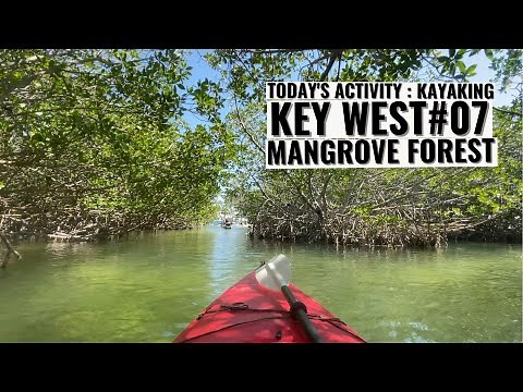 Mangrove Forest Kayak Eco Tour (Key West Kayaking)
