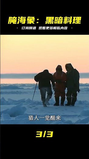 現代化因紐特人的黑暗料理腌海象，制作過程堪比腌海雀 #即錄觀世界 #紀錄片 #電影 #北極 #因紐特人
