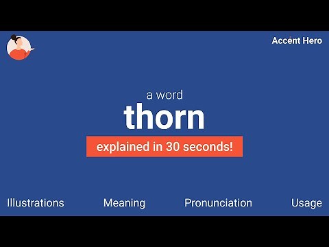 THORN - Meaning and Pronunciation