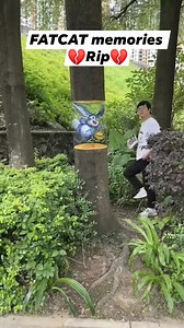 315K views · 9.8K reactions | Memories of fatcat 鹿 #followerseveryone #viralfatcat #highlightsシ゚ #fatcatchina #fatcatstory #ctto #love #fatcatlife #chinese #RIP | PINOY Abroad | Facebook