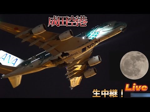 𓈒【2025/10/08 ❶】✈️成田空港 🐢✈️本生📸中継 ライブ配信 【✈️Narita international airport ⌚𝐫𝐞𝐚𝐥 𝐭𝐢𝐦𝐞📸 Live】