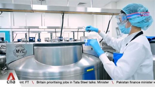 Inside a blood cord bank: How facilities store and maintain the quality of units