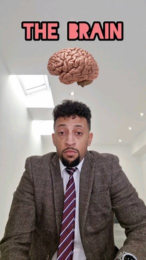 The human brain explained. New raps every Friday at 4pm #rappingteacher #science #gcse #exams #biology #tiktokteacher #brain #neuroscience #year10 #year11 beat from Je M'appelle by @therealbenzz | Matt Green