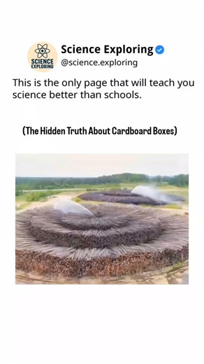 Science on Instagram: "You see cardboard boxes everywhere — but do you know what it really takes to make them? From trees being cut down to chemical treatments and recycling challenges, there’s a lot more behind those brown sheets than you think. 🌍📦 Let’s uncover the hidden truth behind the boxes that move our world. . . . #ScienceExploring #CardboardBoxes #PackagingIndustry #RecyclingFacts #EnvironmentalScience #Sustainability #EcoAwareness #ScienceReel #DidYouKnow #HiddenTruth #ScienceFacts 