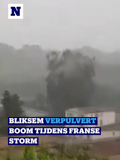Bliksem verpulvert boom in Frankrijk tijdens noodweer