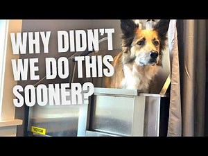 Home Dog Bathing Setup with a Vevor Dog Wash Station