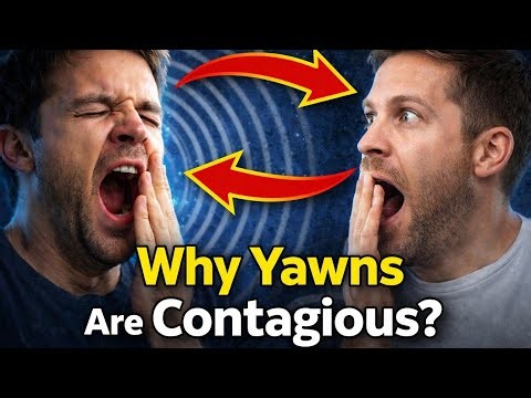 Yawns: The Contagious Virus You Never Knew