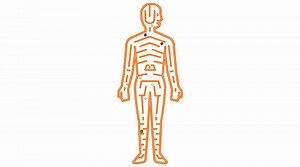 Immune System Animation