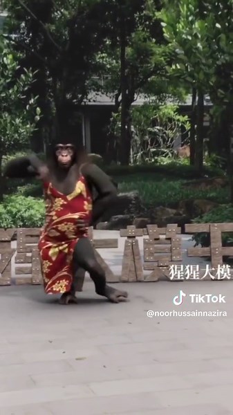 Traditional Chinese Dance Performance in Red and Gold