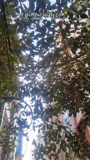 A Weekend In My life 📍 Delhi ✨🎀 | Hostel Wali Recipe 😋 | Rajsthani Food 🫶 #youtubeshorts #viral #yt