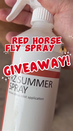 3K Giveaway Celebration for Para Equestrians!
