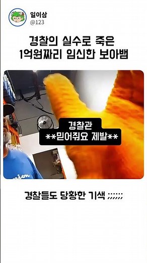 경찰의 실수로 죽은 1억원짜리 임신한 보아뱀