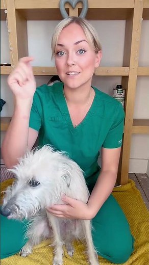 Pet safety: learn cpr & choking first aid for dogs & cats #pets