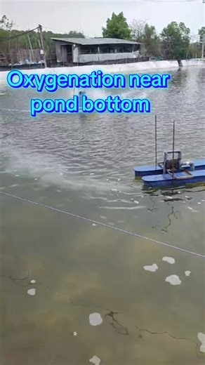 Chatgpt search for "Ehp risk reduction related with Total suspended solid level in shrimp ponds" #nanobubbles #vannamei #vaname #udang #shrimps | Nanobubble NakashimaJapan