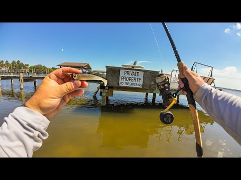 Snook, Redfish, Tarpon on NLBN Fishing around Florida Docks!!