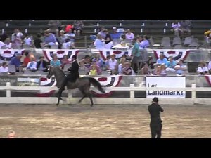 2014 Germantown Speed Racking