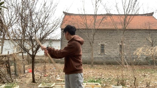 回家后的长棍虾极拔连）