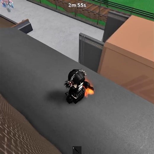 meow #mm2 #roblox