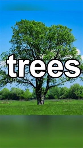 Why is the music in this PBS logo trying to talk to me? 🤔 🌳 #Logos #Funny #Shorts