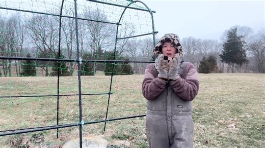 Watch Can make my cucumber seedlings climb higher. on Amazon Live
