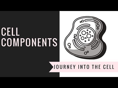 Cell Components- (The small organelles that keep the cell alive)