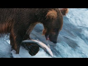 Bears on Tubi... Just Keep Going