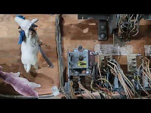 Repair & Troubleshooting Gottlieb With Schematics