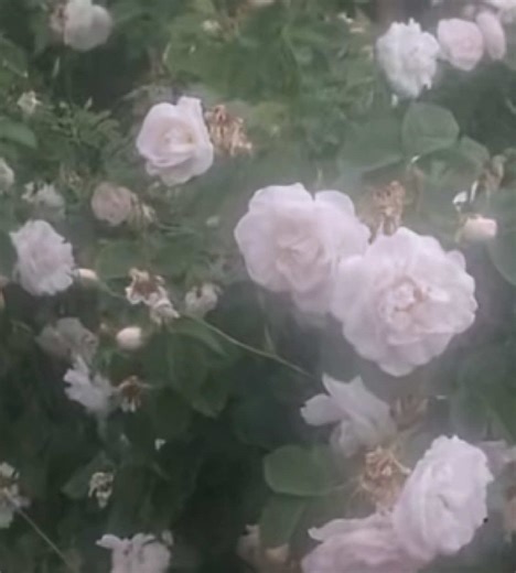 「君の名は。」めっちゃよかったです♡♡#勉強垢 @🧅