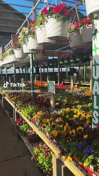 Happiestlittlegarden on TikTok
