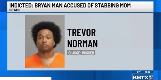 INDICTED: Bryan man formally charged for stabbing his mother to death