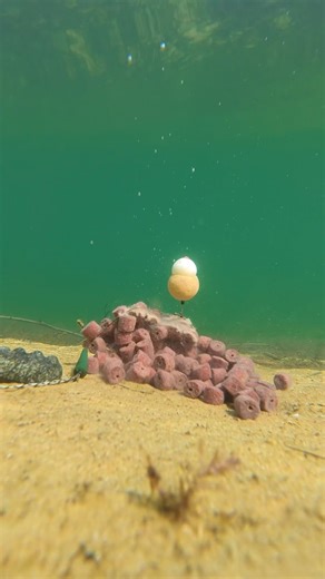PVA Stick Melting Underwater! #carpfishing #pva #pvastick #underwaterfishing #karpfenangeln #pvabag