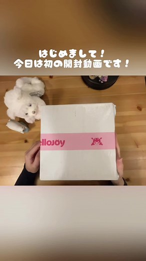 初メロジョイ開封動画投稿です！ ハンバーガー気持ちよすぎる！🍔 @MellojoyJaPan #mellojoy #mellojoy開封チャレンジ #メロジョイ