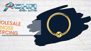 Wholesale Nose Piercings ✨ The Largest Collection