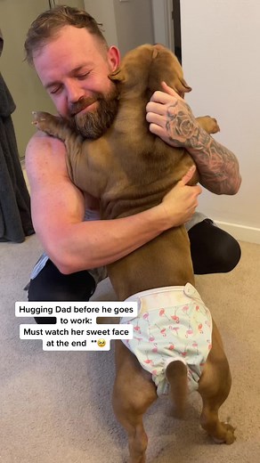 Sweet American Bully Loves Hugging Dog Dad | Heartwarming Moment