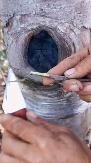 Tree Trunk Crafting Techniques with Hands-On Guide