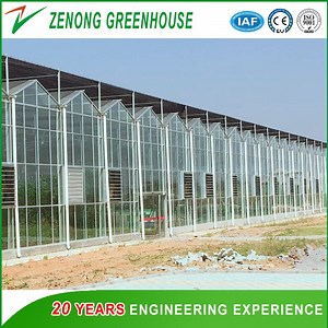 [Hot Item] Agricultural Multi-Span Various Types of Glass Greenhouses for Tomato/Cucumber/Salad/Pepper