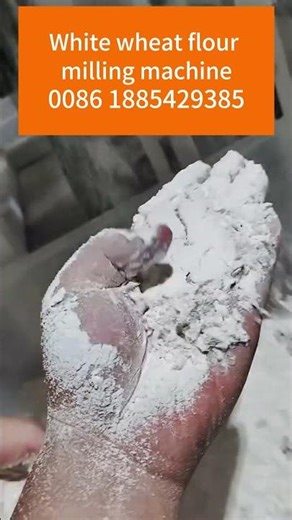 White wheat flour milling machine Semolina making machine