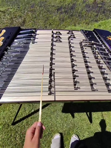 Children Playing on Dulcimer: Gentle Instrumental Cover