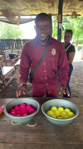 Fun Colour Combination Game for Group Activities