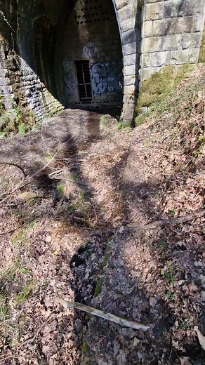 Inside Mireystock railway tunnel, Forest of dean #wyevalleygreenway #railwaytunnel #forestofdean | Wye Independant Media